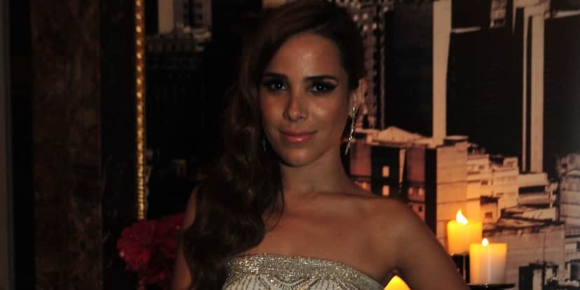 Wanessa Camargo (Foto: Reprodução) Wanessa Camargo (Foto: Reprodução)