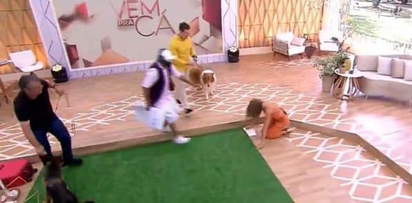 Apresentadora cai ao vivo no SBT (Reprodução) Apresentadora cai ao vivo no SBT (Reprodução)