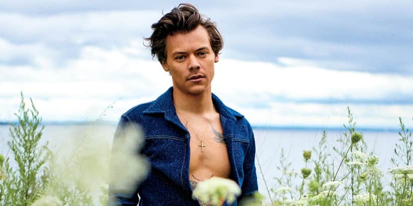 Harry Styles surge nu em filme com outro rapaz (Foto: Reprodução) Harry Styles surge nu em filme com outro rapaz (Foto: Reprodução)