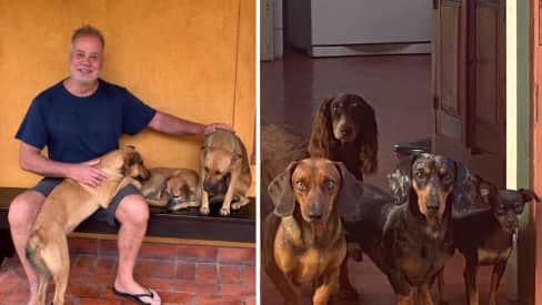 Fotos de casão luxuoso com 16 cachorros: Luiz Fernando Guimarães mostra casa, após se assumir gay