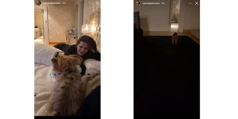 Luciano Camargo tem flagra da esposa com outro na cama, vê ele fugir e explode em desfecho: "Um sem vergonha" Luciano Camargo tem flagra da esposa com outro na cama, vê ele fugir e explode em desfecho: "Um sem vergonha"