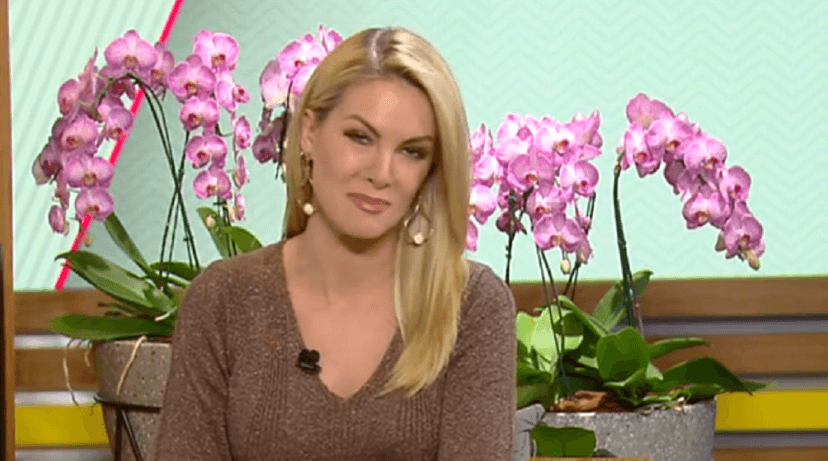 Ana Hickmann Ana Hickmann