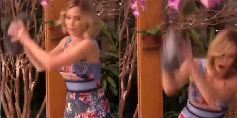 Ana Furtado teve um surto ao vivo e quebrou um vaso de plantas no É De Casa (Foto: Reprodução) Ana Furtado teve um surto ao vivo e quebrou um vaso de plantas no É De Casa (Foto: Reprodução)