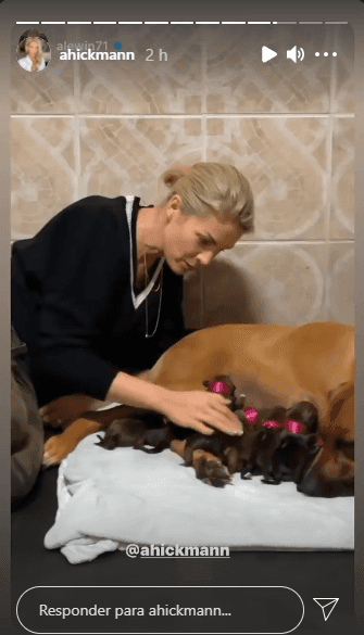 Ana Hickmann acompanhou nascimento de filhos de sua cadela Esmeralda (Foto: Reprodução) Ana Hickmann acompanhou nascimento de filhos de sua cadela Esmeralda (Foto: Reprodução)