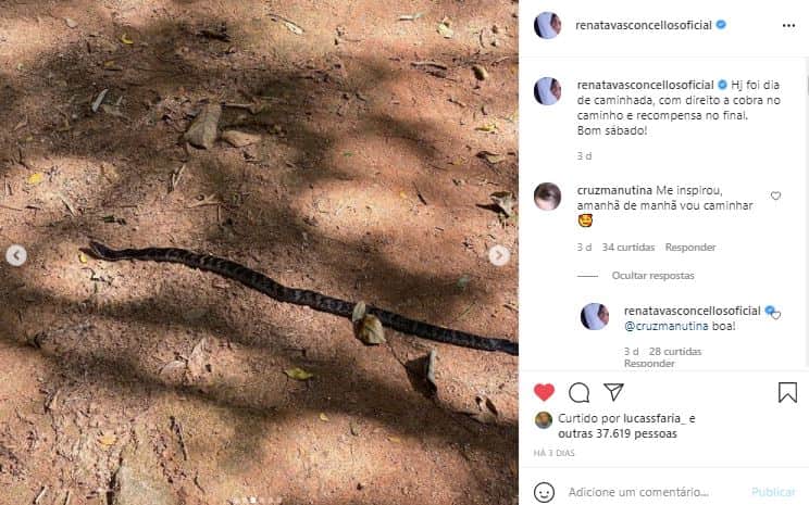 Renata Vasconcellos, do "Jornal Nacional" foi surpreendida com cobra (Foto: Reprodução/Instagram) Renata Vasconcellos, do "Jornal Nacional" foi surpreendida com cobra (Foto: Reprodução/Instagram)