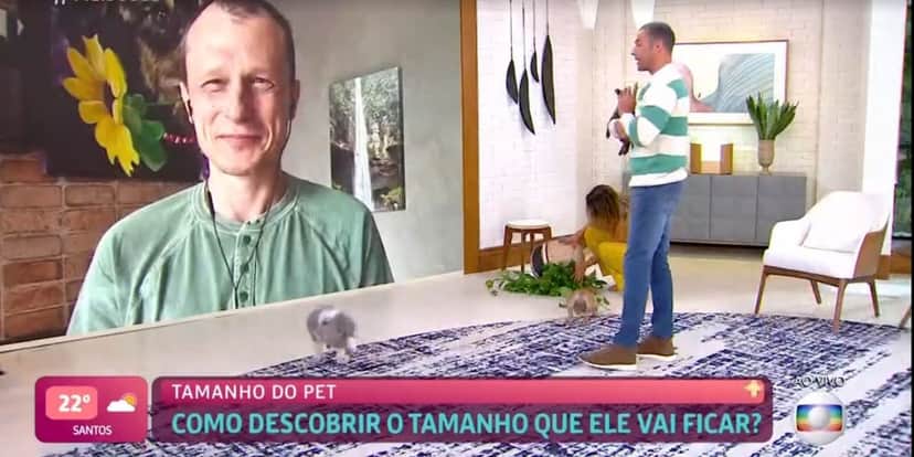 Apresentadores do "Mais Você", da Globo, presenciam acidente ao vivo (Reprodução) Apresentadores do "Mais Você", da Globo, presenciam acidente ao vivo (Reprodução)