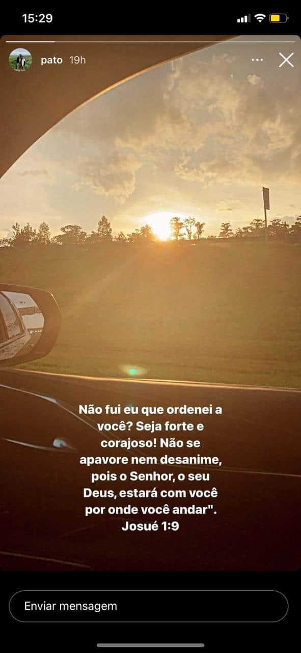 Pato (Reprodução) Pato (Reprodução)