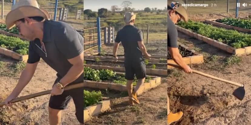 Zezé di Camargo foi flagrado por Graciele Lacerda em momento íntimo pegando firme no pau da enxada durante capinagem em fazenda (Imagem: Montagem)