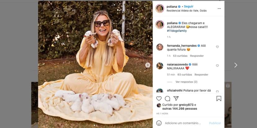 Poliana Rocha anuncia chegada de novos membros da família (Reprodução) Poliana Rocha anuncia chegada de novos membros da família (Reprodução)