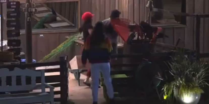 Medrado toco o sino pela segunda vez na Fazenda 13 (Reprodução) Medrado toco o sino pela segunda vez na Fazenda 13 (Reprodução)