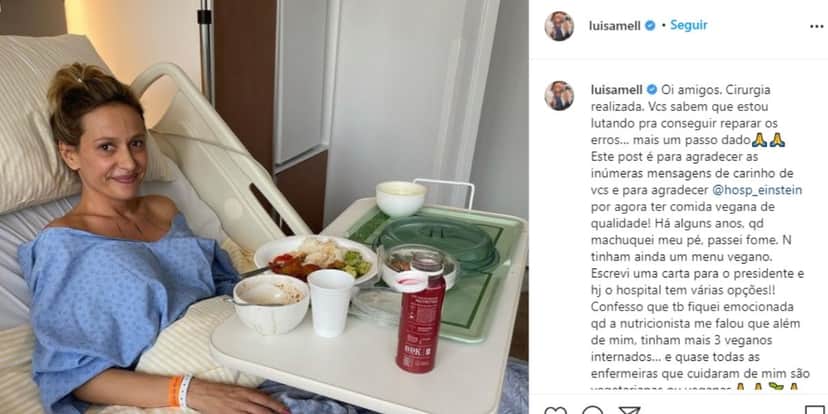 Luisa Mell tem foto destruída em cama de hospital divulgada e luta pela vida após cirurgia forçada e com erros Luisa Mell tem foto destruída em cama de hospital divulgada e luta pela vida após cirurgia forçada e com erros