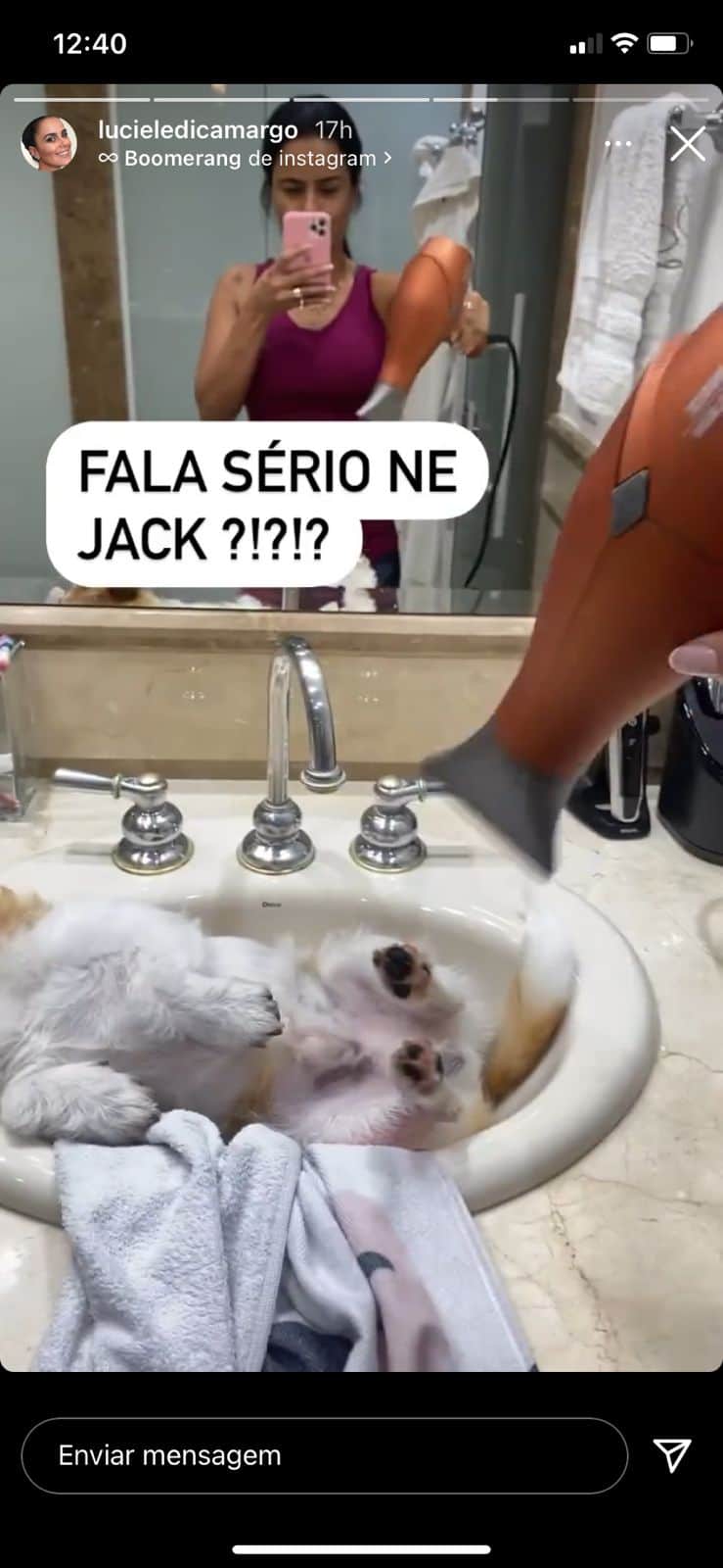 Luciele Di Camargo expõe revolta com cachorro (Reprodução) Luciele Di Camargo expõe revolta com cachorro (Reprodução)