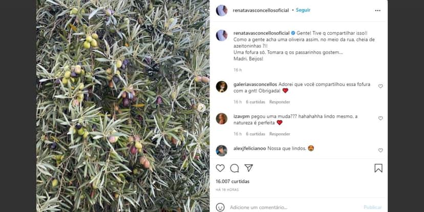 Renata Vasconcellos, após deixar o Jornal Nacional, faz as malas, vai embora do país e expõe: "No meio da rua" Renata Vasconcellos, após deixar o Jornal Nacional, faz as malas, vai embora do país e expõe: "No meio da rua"