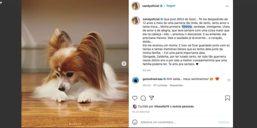 Sandy fala sobre morte de "filinha" (Reprodução) Sandy fala sobre morte de "filinha" (Reprodução)