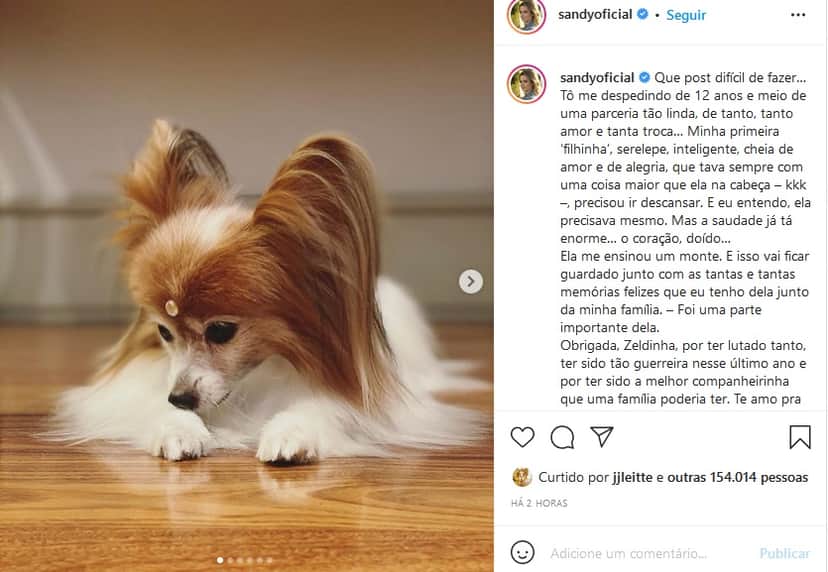 Publicação de Sandy lamentando morte de cachorra (Imagem: Reprodução) Publicação de Sandy lamentando morte de cachorra (Imagem: Reprodução)