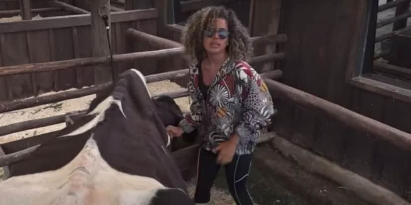 Sthe Matos encontrou dificuldade para cuidar da vaca na manhã desta terça (09), em A Fazenda 13 (Foto: Reprodução) Sthe Matos encontrou dificuldade para cuidar da vaca na manhã desta terça (09), em A Fazenda 13 (Foto: Reprodução)