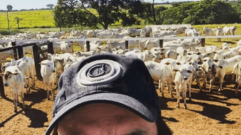 Animais da Fazenda de Chitãozinho (Foto: Divulgação) Animais da Fazenda de Chitãozinho (Foto: Divulgação)