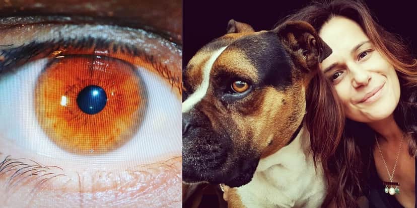 Adriana Araújo, que acaba de fechar com a Band, comparou seus olhos aos de seu cachorrinho, Zeca (Foto: Reprodução/Instagram) Adriana Araújo, que acaba de fechar com a Band, comparou seus olhos aos de seu cachorrinho, Zeca (Foto: Reprodução/Instagram)