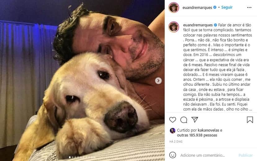 André Marques falou sobre a morte de sua cachorrinha (Foto: Reprodução) André Marques falou sobre a morte de sua cachorrinha (Foto: Reprodução)