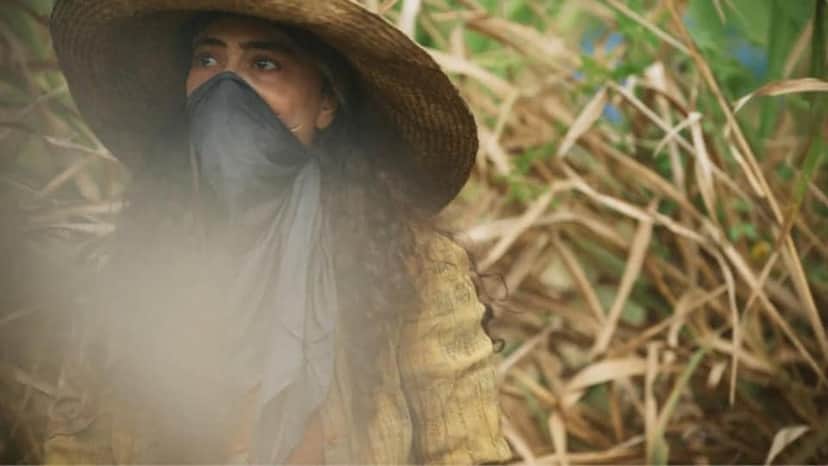 Juliana Paes gravou cenas de queimadas para a novela Pantanal (Foto: Divulgação/TV Globo) Juliana Paes gravou cenas de queimadas para a novela Pantanal (Foto: Divulgação/TV Globo)