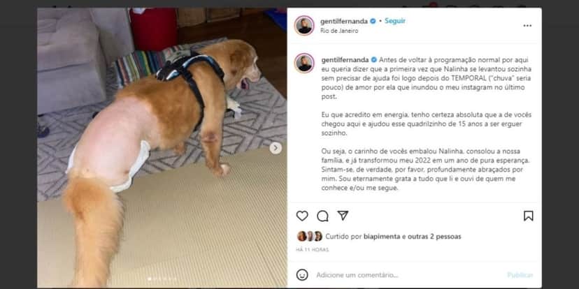 "Pesadelo", Fernanda Gentil expõe doença de parceira, dificuldades para andar e confirma: "Não consigo entender" "Pesadelo", Fernanda Gentil expõe doença de parceira, dificuldades para andar e confirma: "Não consigo entender"