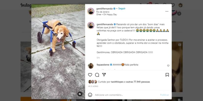 Fernanda Gentil chora ao ver parceira em cadeira de rodas e desabafa em textão: "A minha dor" Fernanda Gentil chora ao ver parceira em cadeira de rodas e desabafa em textão: "A minha dor"