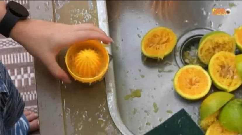 Jade Picon tenta fazer suco de laranja no BBB22 (Foto: Reprodução / Globoplay) Jade Picon tenta fazer suco de laranja no BBB22 (Foto: Reprodução / Globoplay)