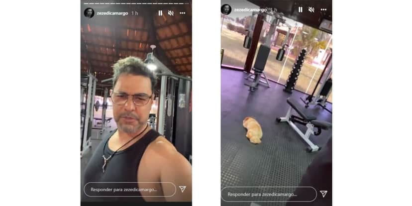 "Foi embora", Zezé é deixado por Graciele, expõe o que aconteceu e entrega sofrimento: "Encarar a realidade" "Foi embora", Zezé é deixado por Graciele, expõe o que aconteceu e entrega sofrimento: "Encarar a realidade"