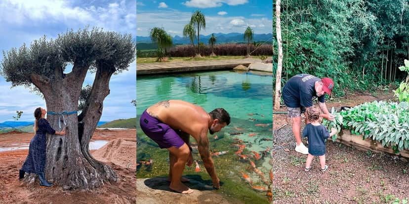 Bruno Gagliasso se comprometeu com a fauna e flora - Foto: Reprodução Bruno Gagliasso se comprometeu com a fauna e flora - Foto: Reprodução