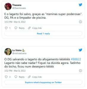 Lagarto chamou a atenção na piscina do BBB22 (Foto: Reprodução / Twitter) Lagarto chamou a atenção na piscina do BBB22 (Foto: Reprodução / Twitter)