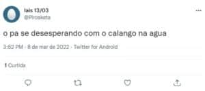 Lagarto chamou a atenção na piscina do BBB22 (Foto: Reprodução / Twitter) Lagarto chamou a atenção na piscina do BBB22 (Foto: Reprodução / Twitter)