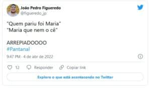 Público ficou impactado com a atuação de Juliana Paes em 'Pantanal' (Foto: Reprodução / Twitter) Público ficou impactado com a atuação de Juliana Paes em 'Pantanal' (Foto: Reprodução / Twitter)
