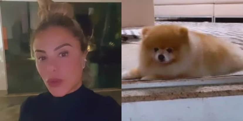Poliana Rocha levou susto com o cachorrinho Romeo (Foto: Reprodução/Instagram) Poliana Rocha levou susto com o cachorrinho Romeo (Foto: Reprodução/Instagram)