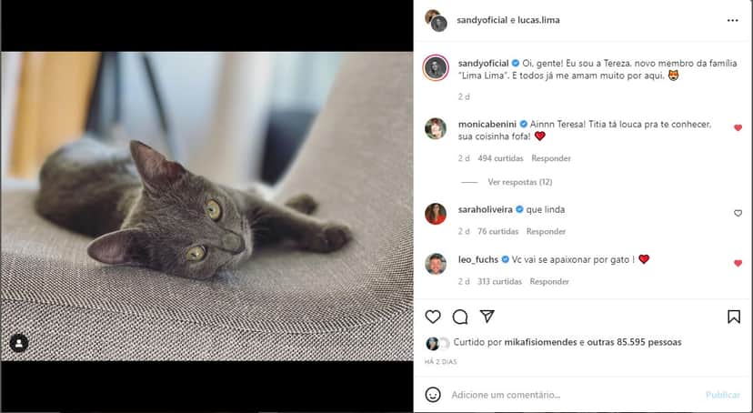 Sandy anuncia chegada de novo membro na família - Foto: Reprodução Sandy anuncia chegada de novo membro na família - Foto: Reprodução