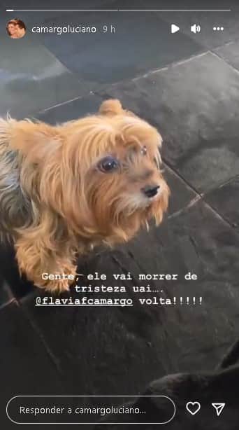 Luciano Camargo expôs tristeza após Flávia Fonseca sair de casa (Foto: Reprodução/ Instagram) Luciano Camargo expôs tristeza após Flávia Fonseca sair de casa (Foto: Reprodução/ Instagram)