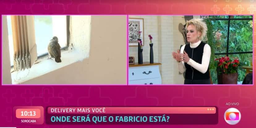 Ana Maria Braga ajudou passarinho ao vivo no "Mais Você" (Foto: Reprodução/TV Globo) Ana Maria Braga ajudou passarinho ao vivo no "Mais Você" (Foto: Reprodução/TV Globo)