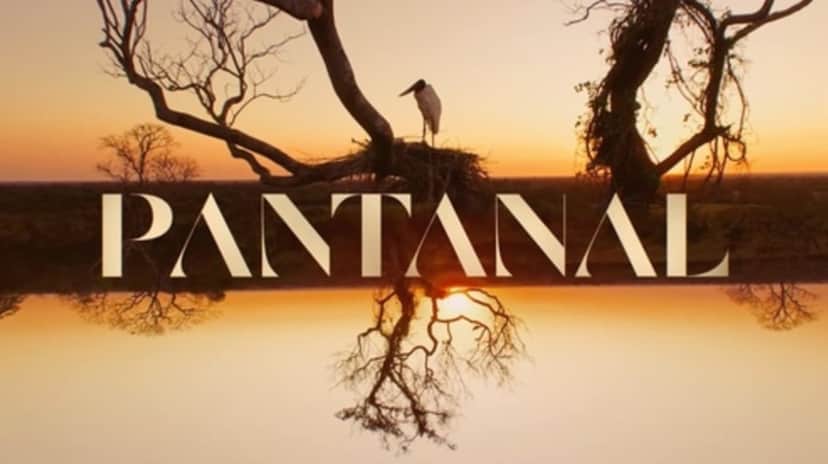 SBT coloca Pantanal no ar e quer impedir investigação do autor da novela SBT coloca Pantanal no ar e quer impedir investigação do autor da novela