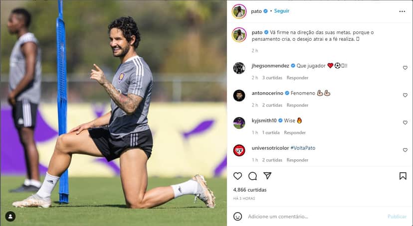 Compartilhamento de Pato no Instagram - Foto: Reprodução Compartilhamento de Pato no Instagram - Foto: Reprodução