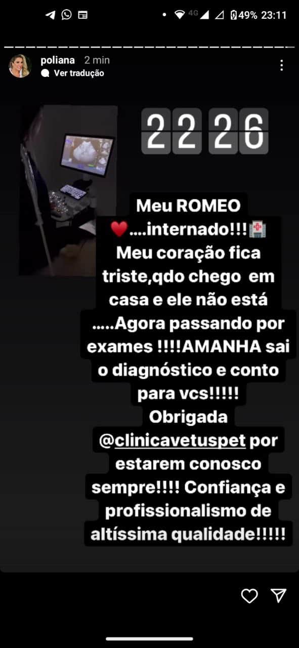 Poliana Rocha expõe internação de Romeo, cachorro de estimação - Foto: Reprodução Poliana Rocha expõe internação de Romeo, cachorro de estimação - Foto: Reprodução