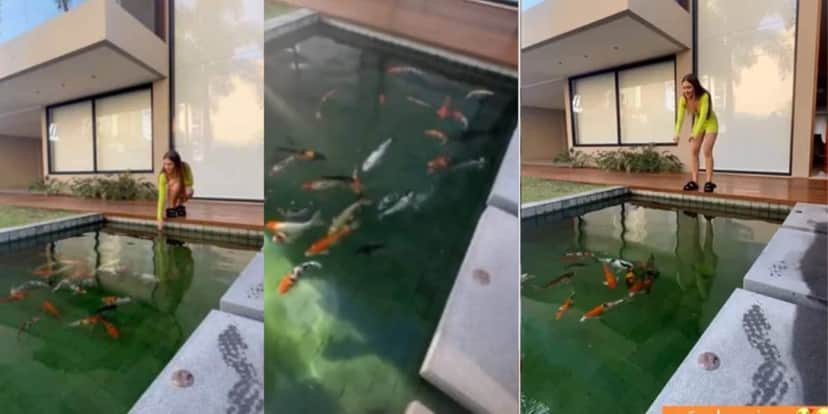 Pequeno lago com peixes da mansão de Jade Picon (Reprodução: Instagram)