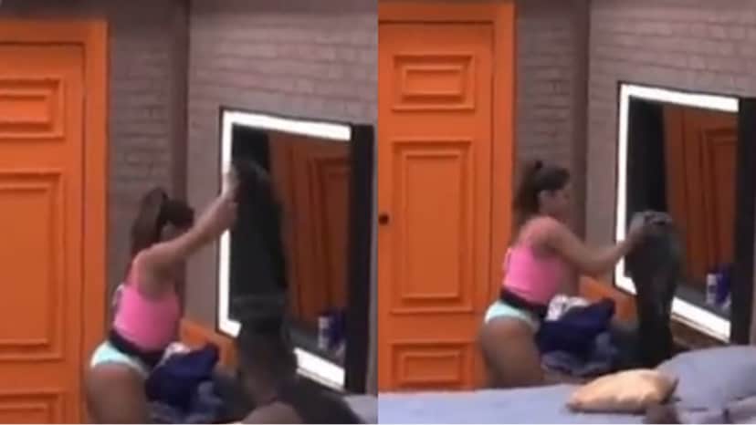 Ingrid Ohara, revoltada de ir para a Roça em A Fazenda 14, junta esterco e joga nas roupas de Vini Bütttel Ingrid Ohara, revoltada de ir para a Roça em A Fazenda 14, junta esterco e joga nas roupas de Vini Bütttel