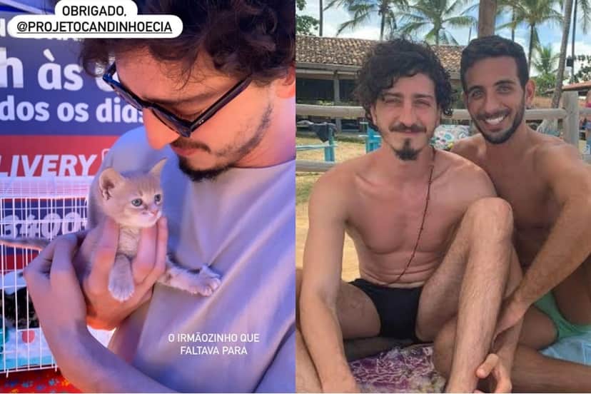 Johnny Massaro adota filhote de gato e vive relação com melhor amigo de infância Johnny Massaro adota filhote de gato e vive relação com melhor amigo de infância