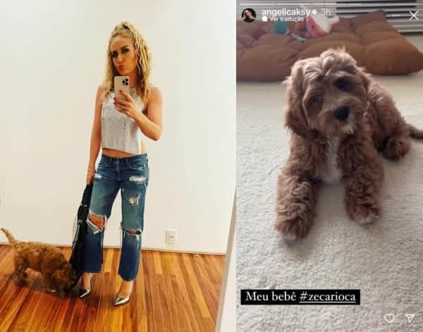 Angélica, esposa de Luciano Huck, surpreende seguidores ao mostrar o novo integrante da família - Foto: Reprodução Intagram Angélica, esposa de Luciano Huck, surpreende seguidores ao mostrar o novo integrante da família - Foto: Reprodução Intagram
