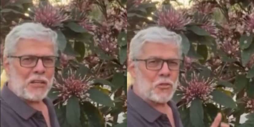 Ex-Globo, José Mayer, muda de vida e se torna homem do campo após doença - Foto Reprodução Instagram Ex-Globo, José Mayer, muda de vida e se torna homem do campo após doença - Foto Reprodução Instagram