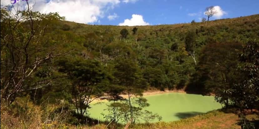 Fazenda de Marcos Palmeira tem lago próprio Fazenda de Marcos Palmeira tem lago próprio