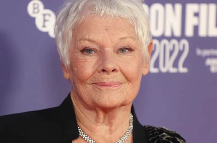 Judi Dench sofre com doença degenerativa (Foto: Reprodução) Judi Dench sofre com doença degenerativa (Foto: Reprodução)