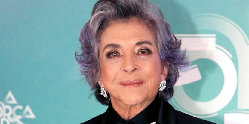 Betty Faria (Foto: Divulgação/TV Globo)