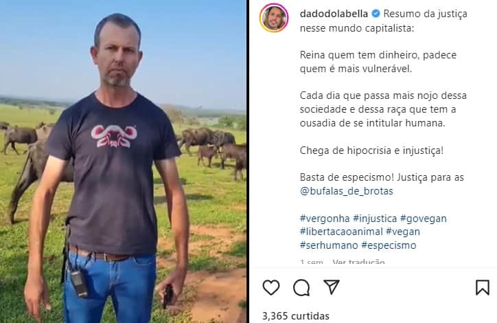 Dado Dolabella compartilha decisão da Justiça e se revolta em desabafo (Reprodução/ Instagram) Dado Dolabella compartilha decisão da Justiça e se revolta em desabafo (Reprodução/ Instagram)