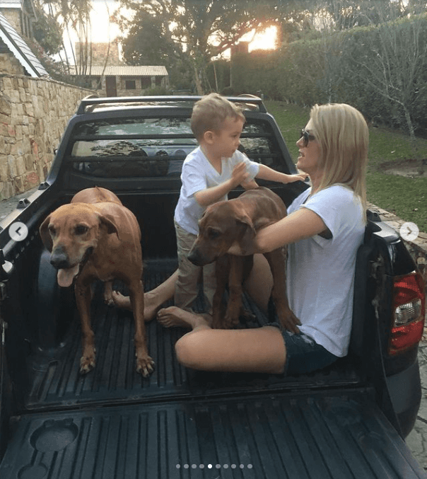 Apresentadora Ana Hickmann, faz desabafo nas redes sociais e lamenta morte de sua fiel escudeira - Foto Reprodução Instagram Apresentadora Ana Hickmann, faz desabafo nas redes sociais e lamenta morte de sua fiel escudeira - Foto Reprodução Instagram