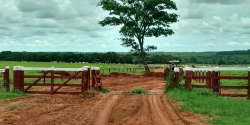 Fazenda Marrone (Reprodução: Youtube) Fazenda Marrone (Reprodução: Youtube)